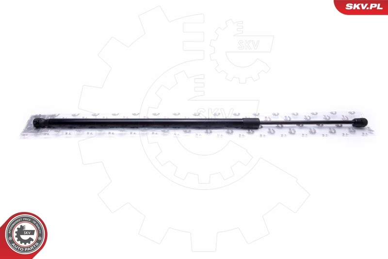 Gas Spring, boot/cargo area